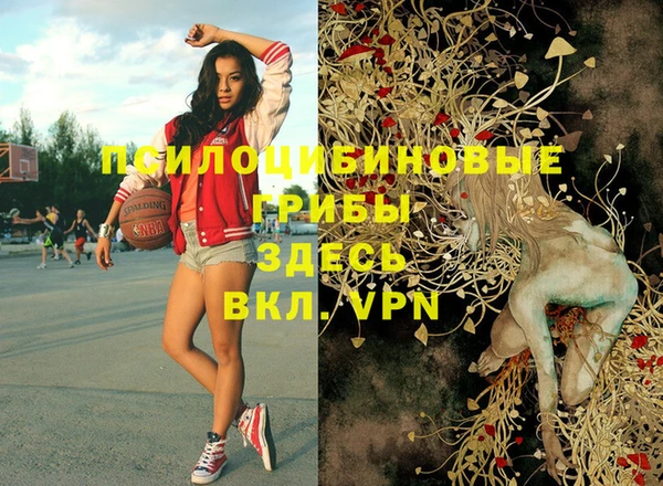 мескалин Снежногорск