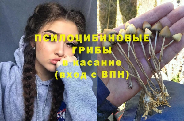 мескалин Снежногорск