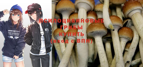 mix Слюдянка